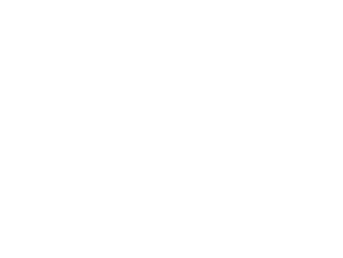 ACERFI Formation logo