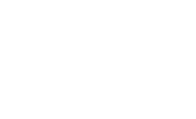 ACERFI Studio logo